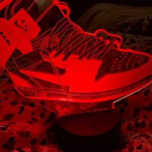 Led shoe light